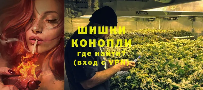 Бошки марихуана OG Kush  купить   Магадан 